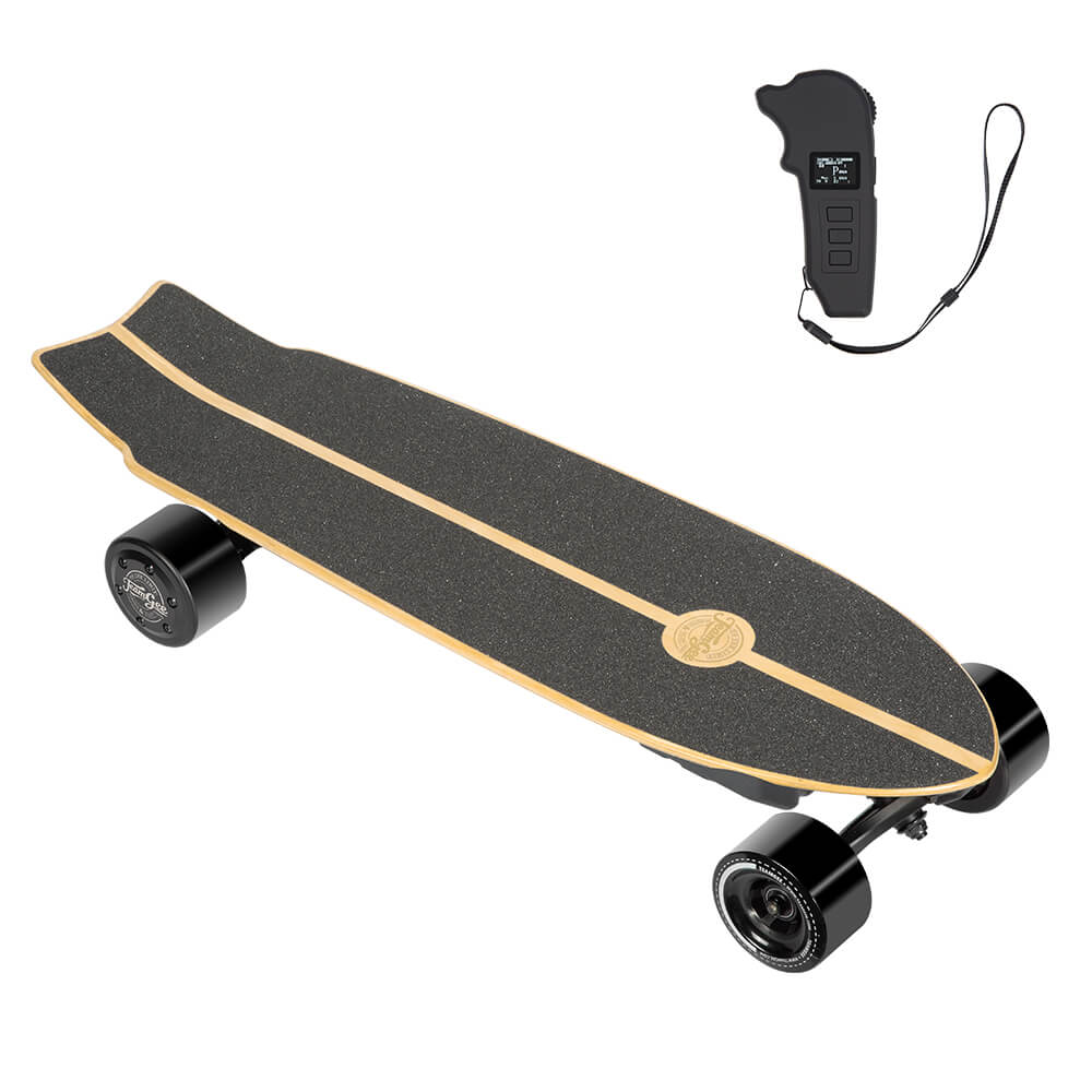 Teamgee H20mini Electric Skateboard with romote control